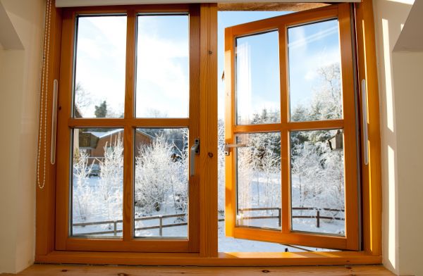 Double Window Replacement in Palatine